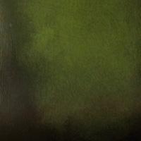 dark and light green chesterfield sofa