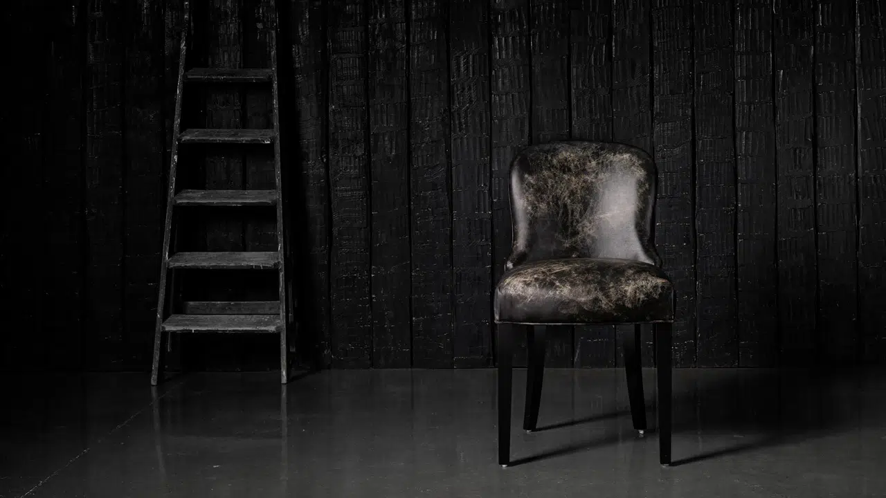 Fauteuil Diner en cuir