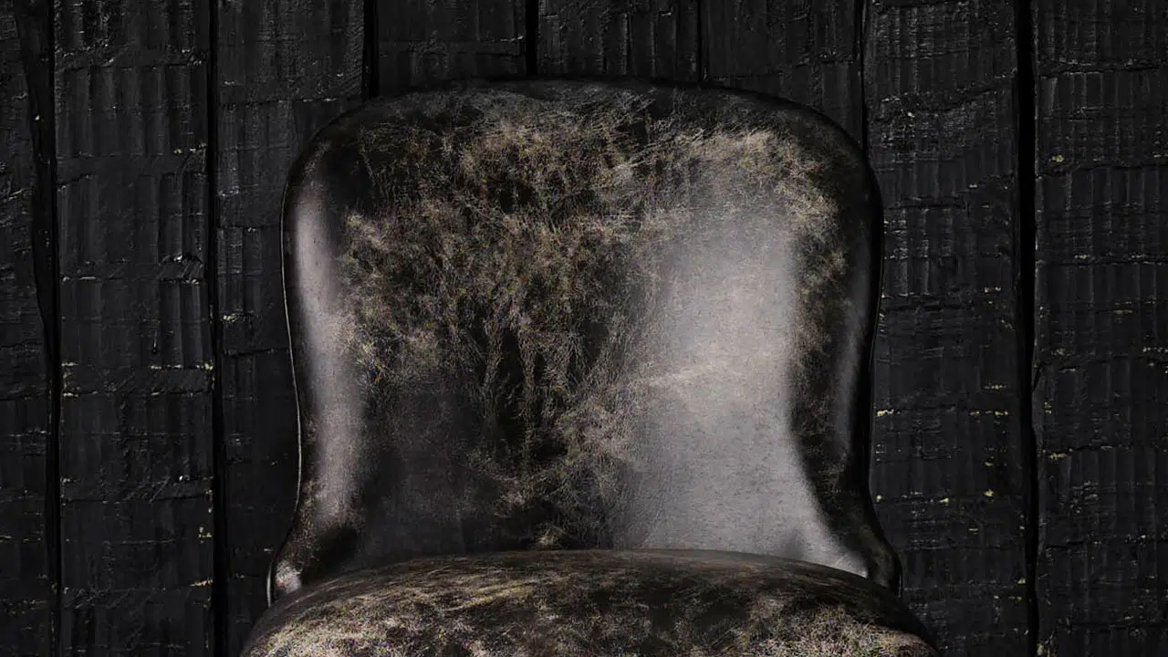 Fauteuil Diner